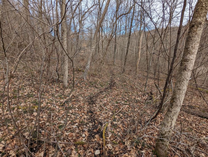 PXL_20230213_165553423