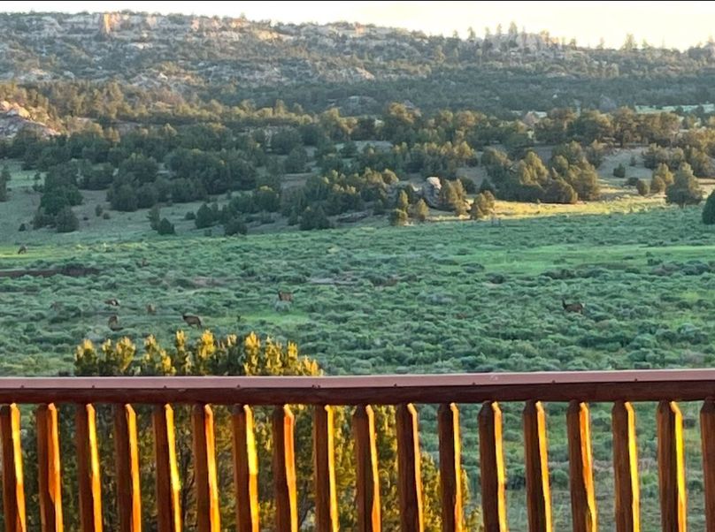 13_Pratt view from deck green