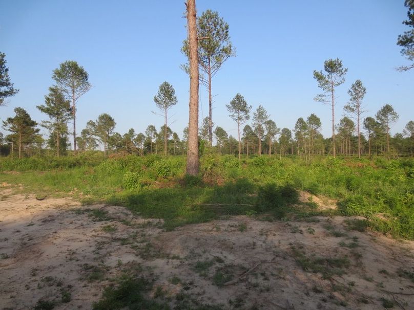 6E139916-3EFD-4B73-A491-1D03D47DE694_1_105_c