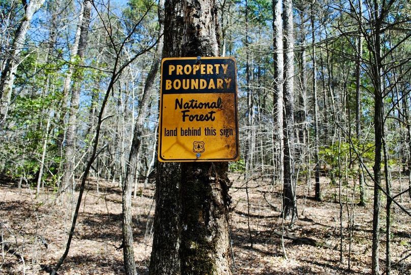 Large Hunting Recreational Property Bordering USFS/Wilderness