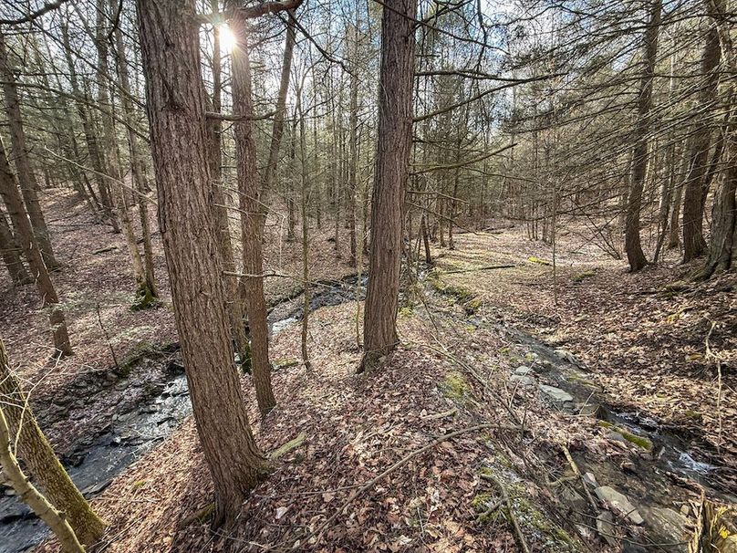 Chemung_59.65_Kocsis_photos_22