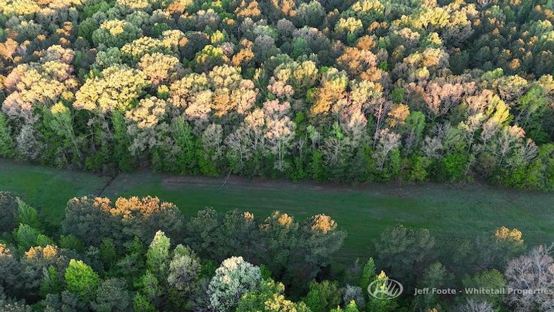 Hinds Co - 51 - Hughes-64