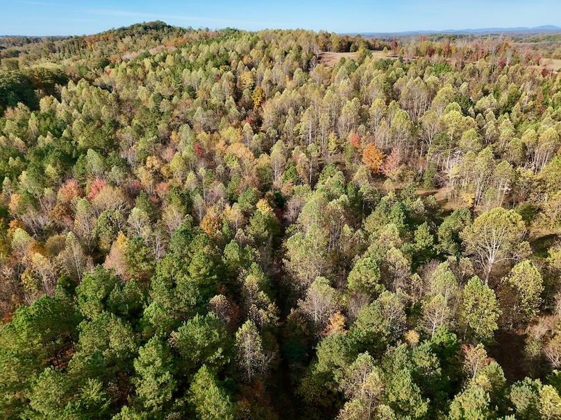 DJI_20251024101014_0011_D