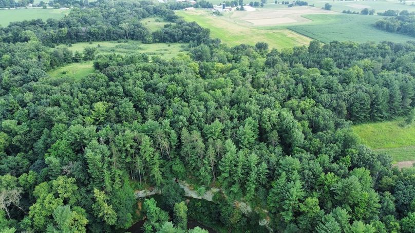 dji_fly_20240715_182048_684_1721085706556_photo_optimized