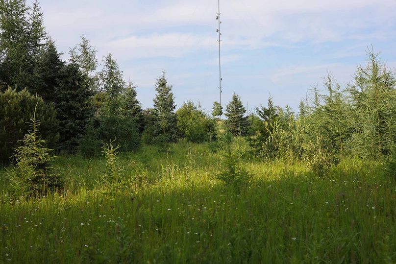 Mackinac20Fewins-6109