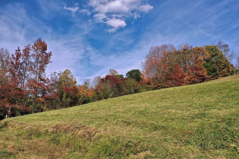 022 beautiful rolling meadow at the south area near the home-2