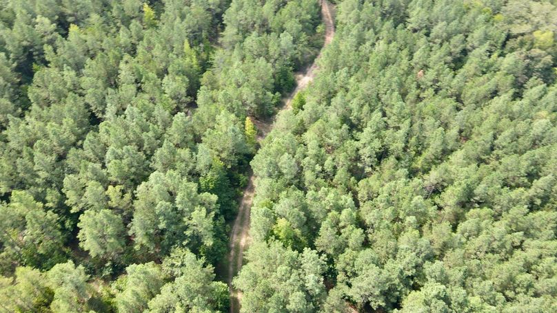 dji_fly_20230906_114844_377_1694015365696_photo