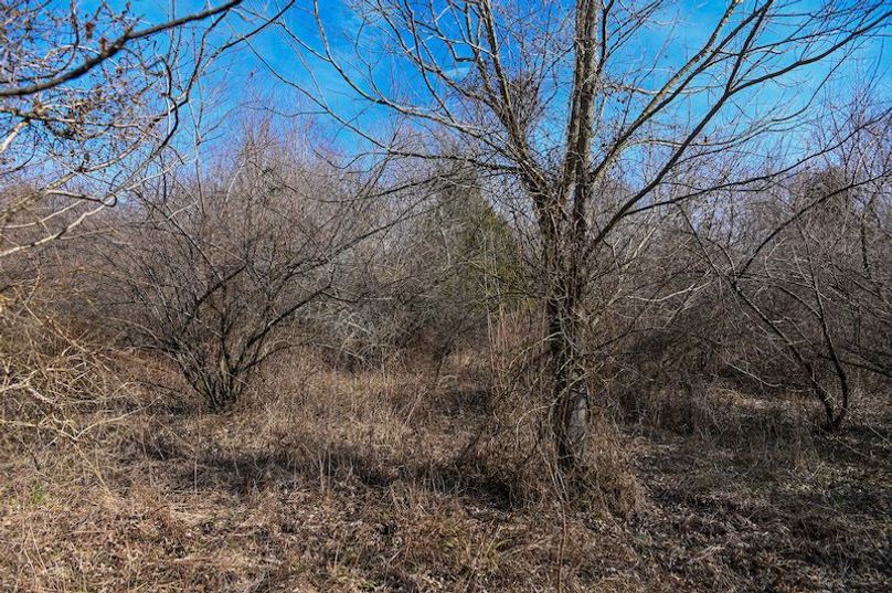 vandalia 450 (2)-1692