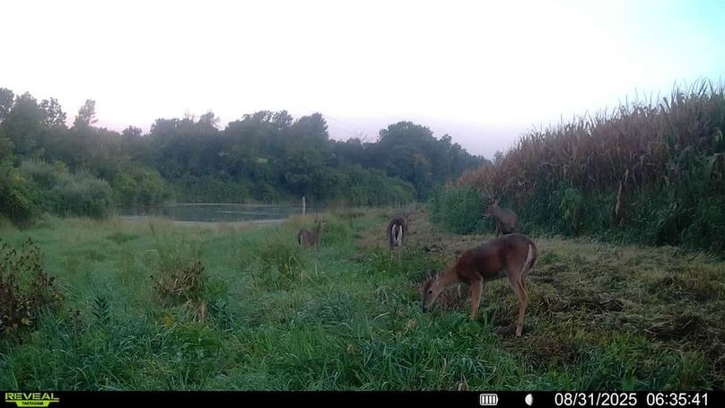 016579006920529-100-4-08312025063541-SYFW00144