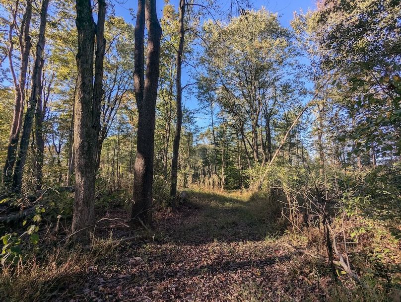 PXL_20251001_212027943