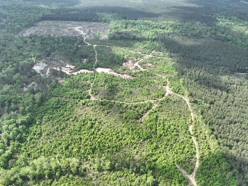 dji_fly_20260415_105106_385_1776345108862_photo