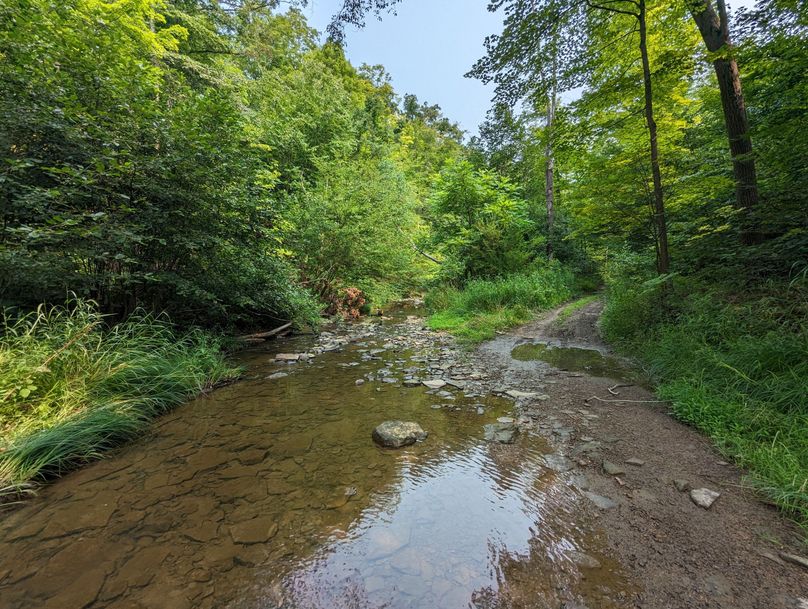 PXL_20230801_144443314