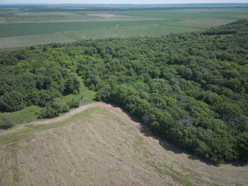 DJI_20250531111352_0011_D
