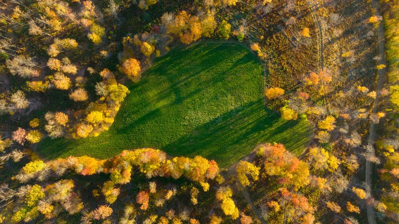 Elk PA 7000 Feature_Pro Photo-156
