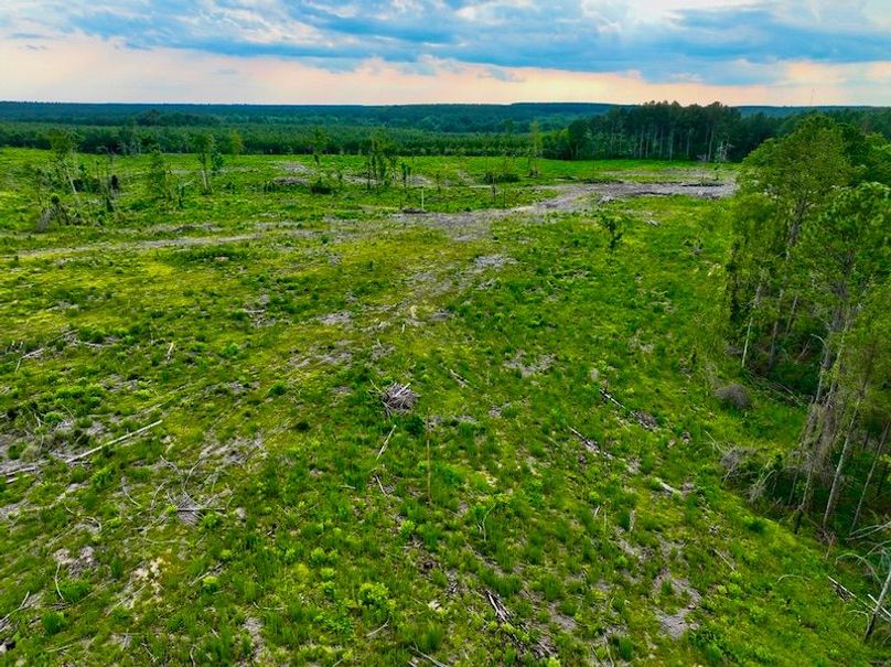 E5610184-2DA9-4606-BBAE-5B9E212FAE59_1_105_c