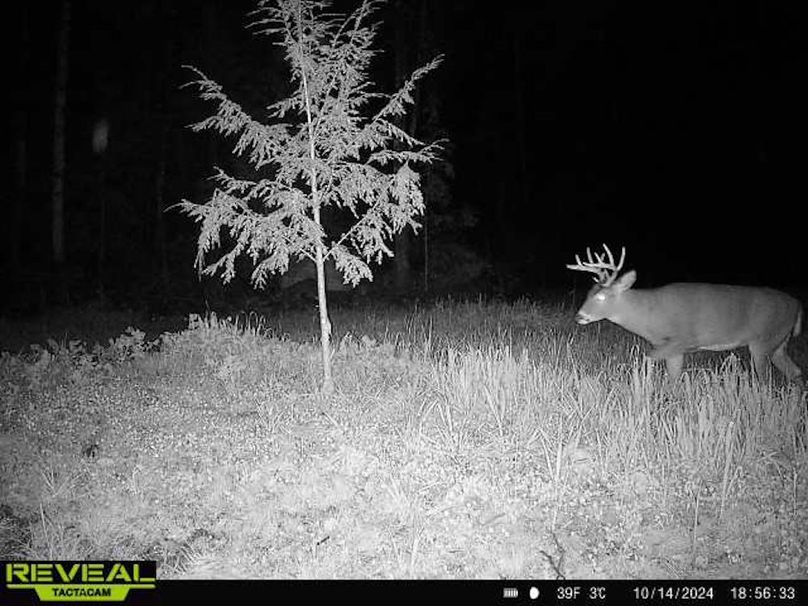 865814048724973-70-3-10142024185632-W1010649