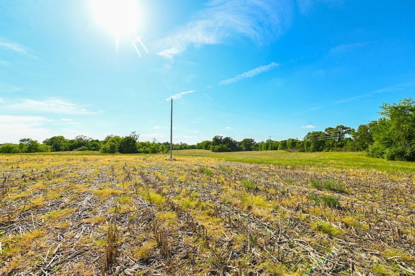 Copy of st clair 25 auction(22)