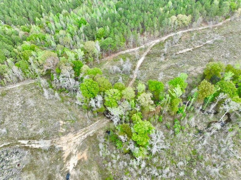 dji_fly_20250403_152210_665_1743708455109_photo