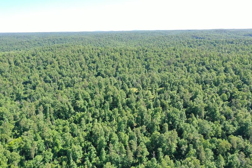DJI_0883