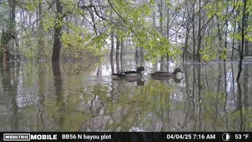 1929813-20250404121715-100MFCAM_MFDC0841