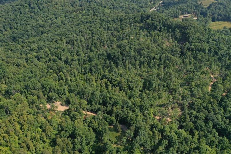 006 aerial drone shot of the timbered area where the pasture was planned out