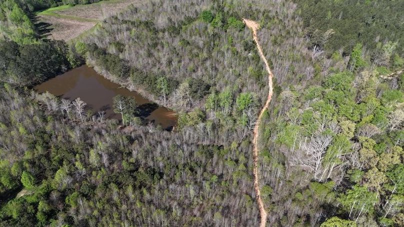 DJI_20250416102610_0109_D