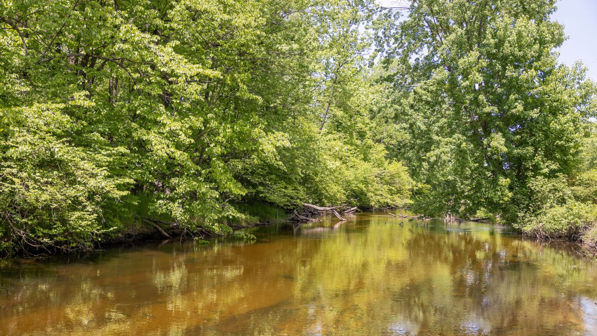 Riverfront Acreage On The Big South Branch Of The Pere Marquette River
