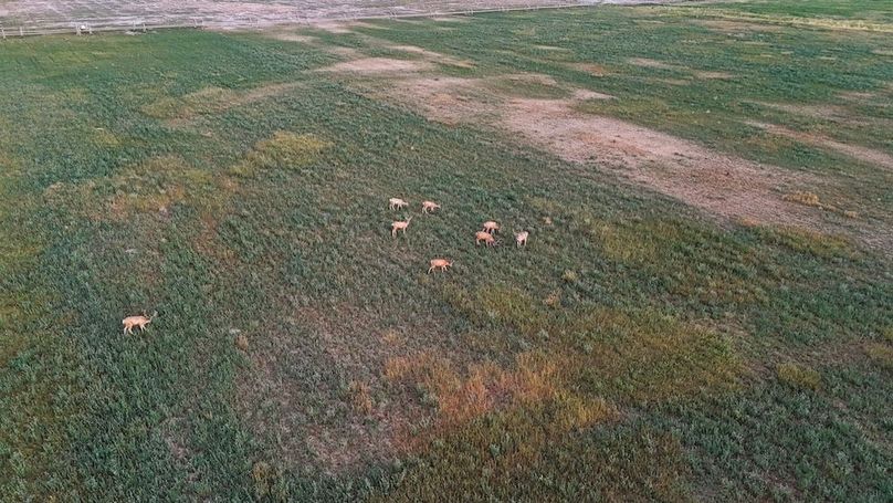 DJI_20240810062210_0026_D