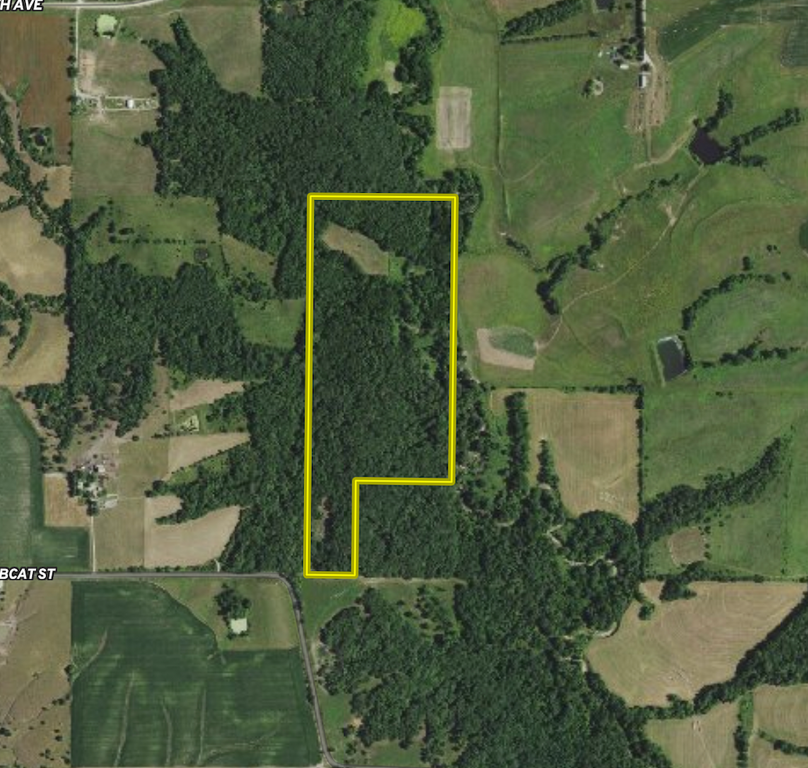 Screenshot 2024-08-16 at 11.15.55 AM