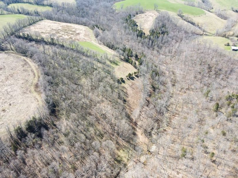 Fleming Petry 120-096