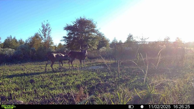 016579007563815-43-3-11022025182418-HD-SYFW02288