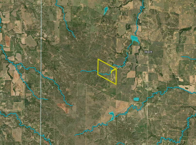 Screen Shot 2024-03-07 at 8.31.31 PM