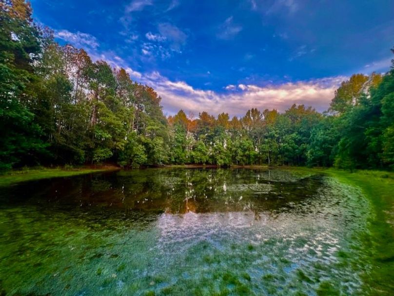 4F92ACB4-1363-443C-A313-8910008BA57B_1_105_c