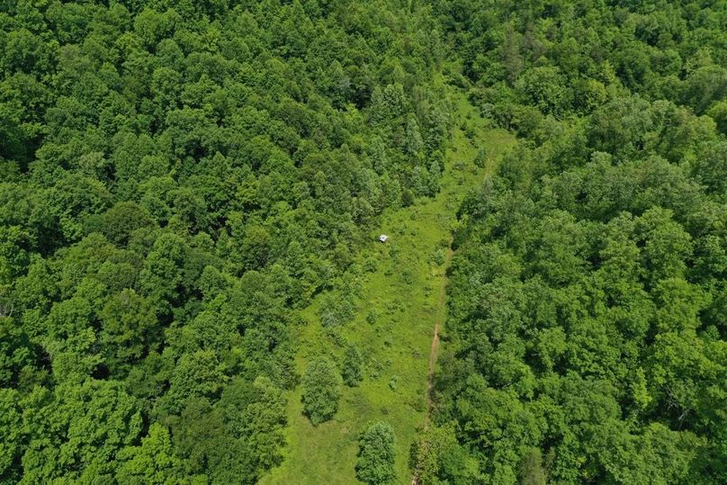 013 overhead aerial drone shot of the overgrown fields in the south portion of the property