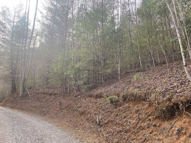 Cherokee 7.47 Herzog-18