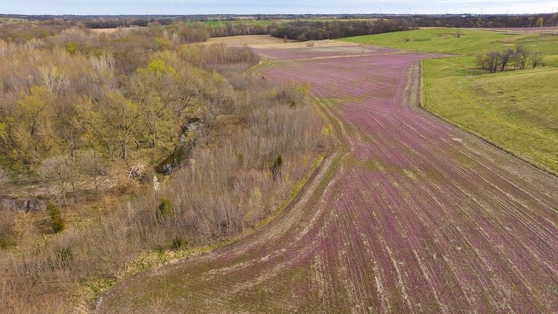 DJI_20250331091533_0656_D