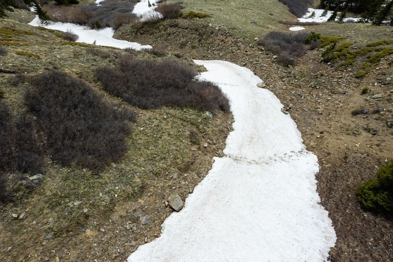 Lake 51.63 - 011 Game Trails