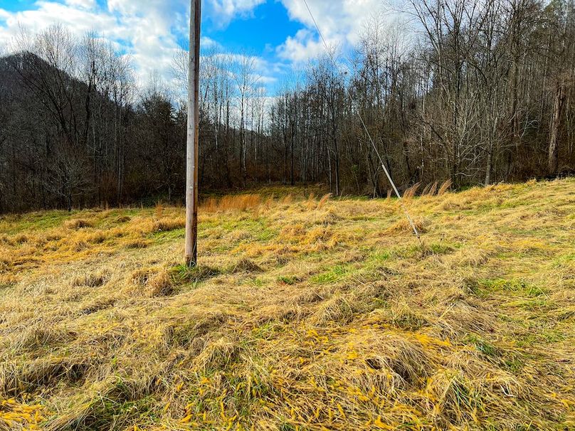 Calhoun, WV 225.69 AC Duffield-86