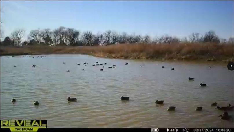 Screenshot_24-1-2026_81649_drive.google.com