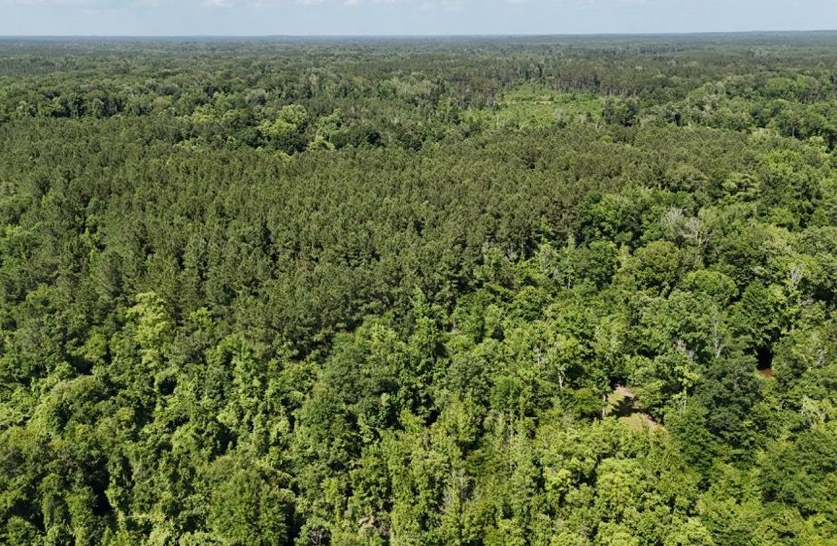 dji_fly_20250526_043908_0006_1748267932126_photo