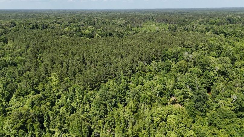 dji_fly_20250526_043908_0006_1748267932126_photo