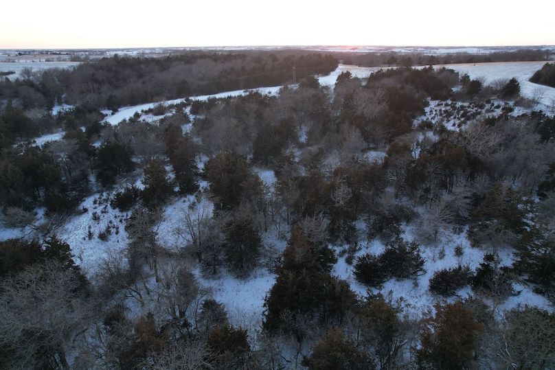 DJI_0557