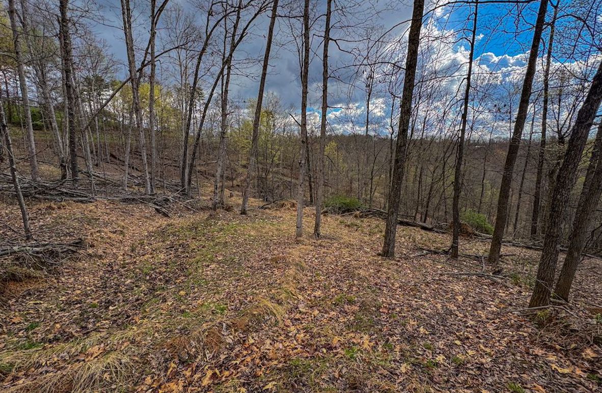 Wirt, WV 156.941 AC Full-03