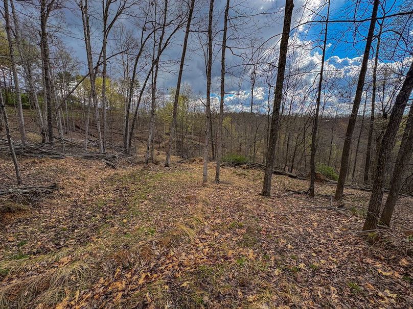 Wirt, WV 156.941 AC Full-03