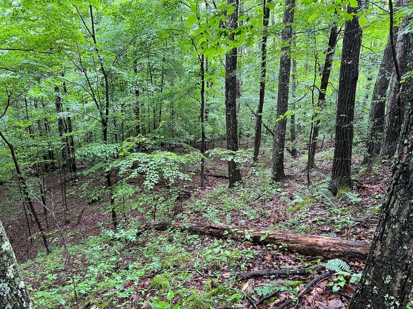 Wirt, WV 150.75 AC Tinnell-34