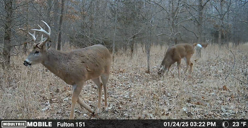 Screen Shot 2025-07-16 at 12.55.40 AM