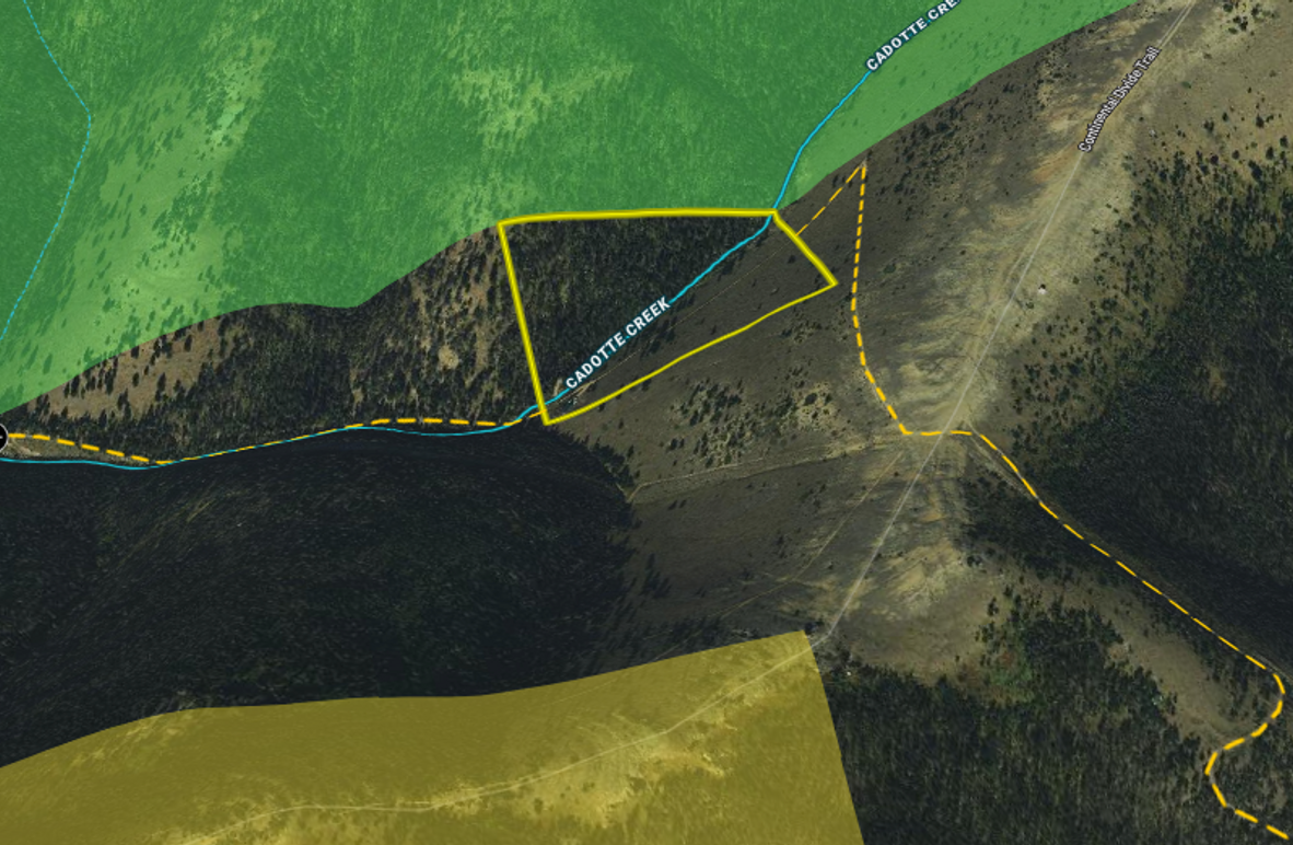 Screen Shot 2023-08-15 at 8.34.18 AM