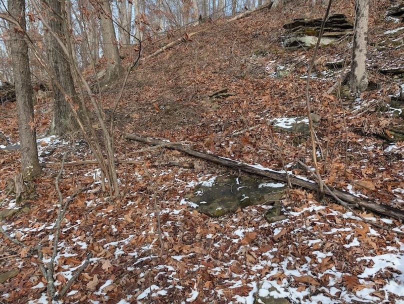 PXL_20260112_170430019