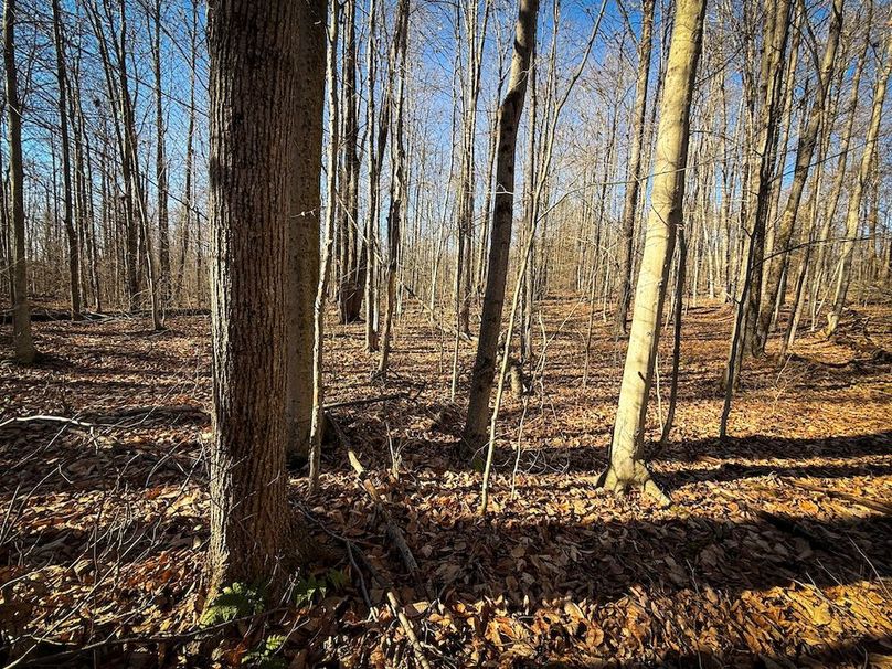 Chemung_31.75_Seymour_North_Photos_18