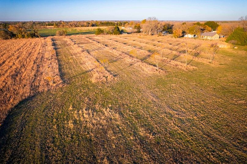 Collin 17 acres (13 of 21)